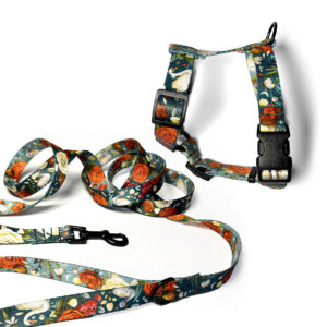 Ciemnozielone szelki i smycz miejska