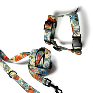 komplet spacerowy niebieski dla psa