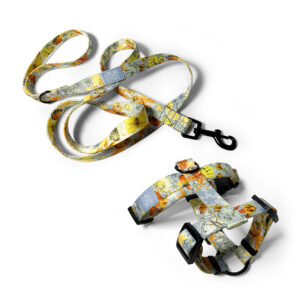 Zestaw Smycz miejska 2 m + Szelki Guard SUNDAY BLUE