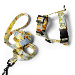 Zestaw błękitna smycz miejska 2m i szelki guard