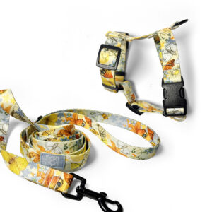 Zestaw żółta smycz i szelki guard