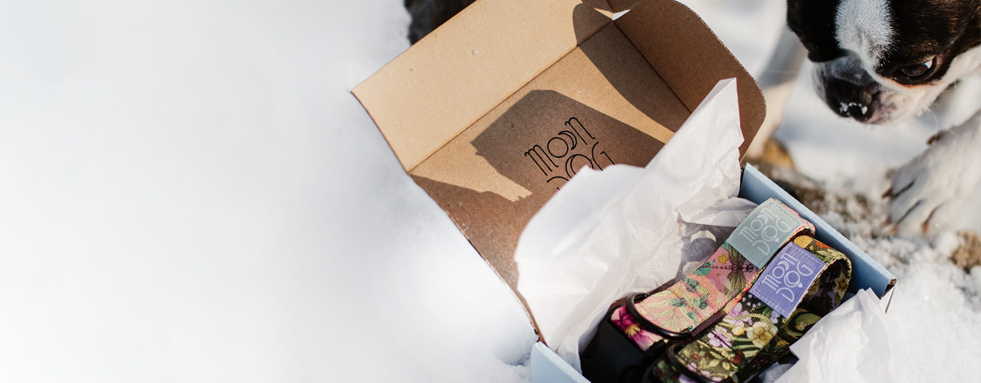 baner z buldożkiem i obrożami