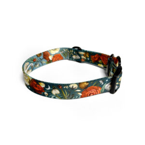 obroża półzaciskowa łabędzie