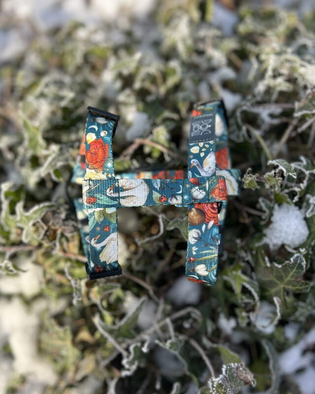 szelki guard snowdrop