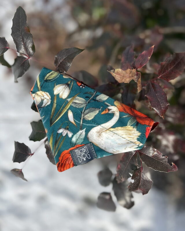 Bandana z weluru zielona dla psów