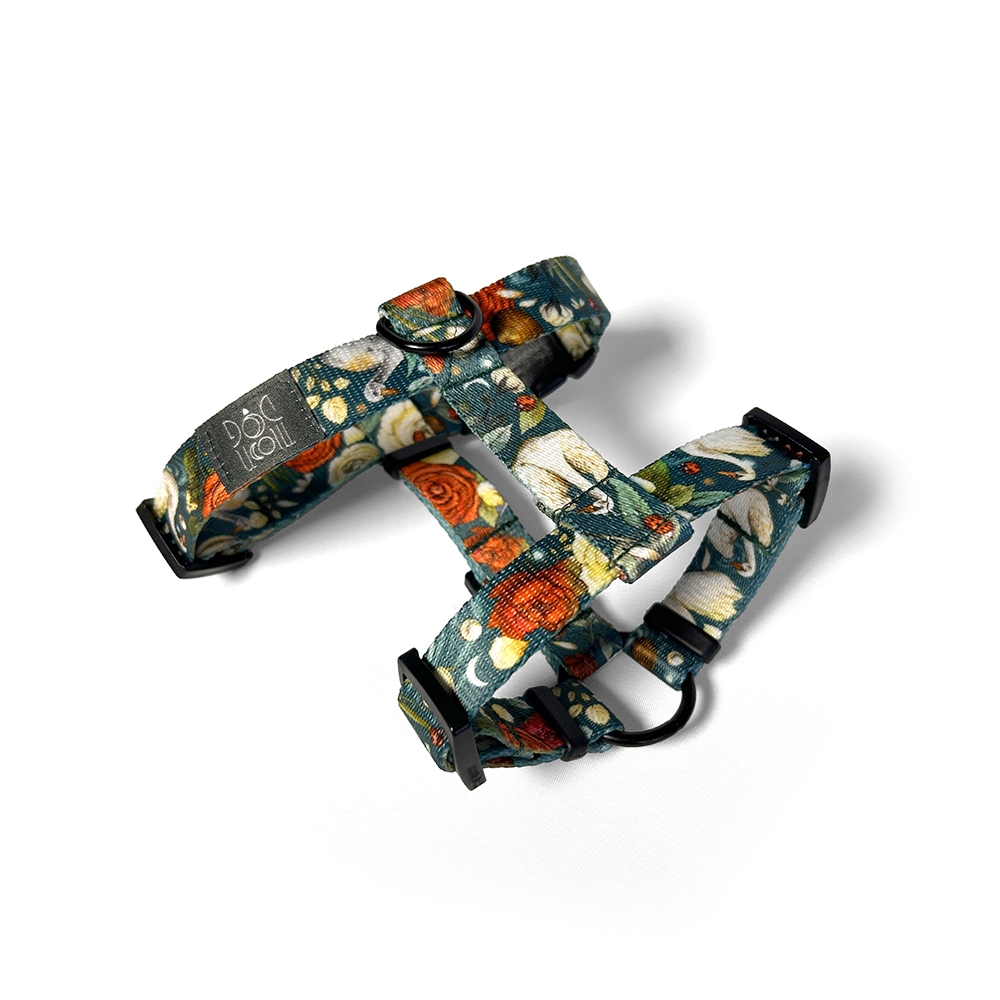 szelki guard snowdrop turkus