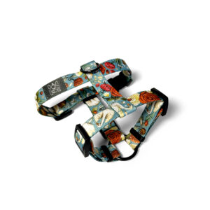 szelki guard snowdrop