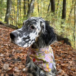 Bandana welurowa SEPTEMBER - obrazek 5