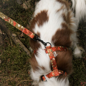 Smycz przepinana AUTUMN MOSS / CINNAMON - obrazek 8