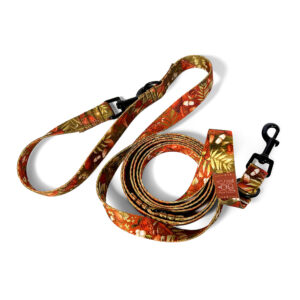 smycz przepinana autumn