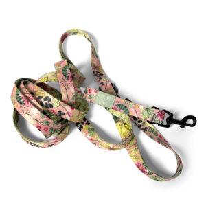 smycz przepinana lakeside