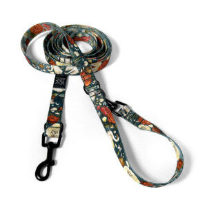 smycz przepinana łabędzie