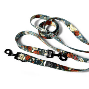 smycz przepinana snowdrop