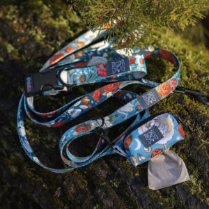Szelki bezuciskowe dla psa SNOWDROP TURQUOISE - obrazek 9