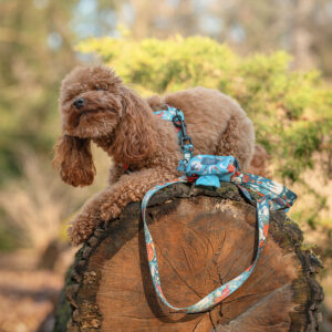 Szelki Guard SNOWDROP TURQUOISE - obrazek 6