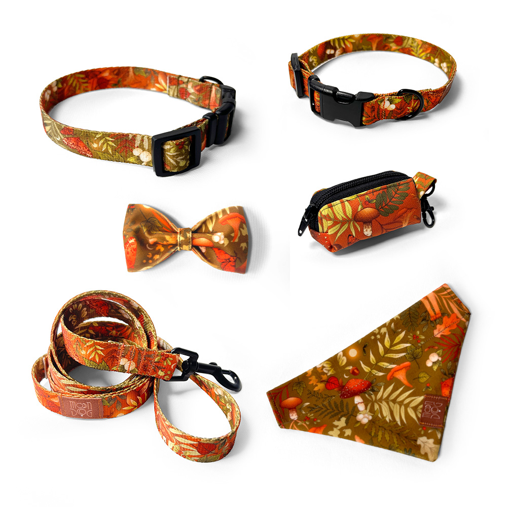 zestaw spacerowy autumn dla psa