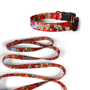 Alternative view of Zestaw Smycz miejska 2 m + Obroża z klamrą BERRIES RUBY