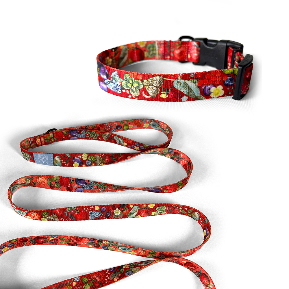 Zestaw Smycz miejska 2 m + Obroża z klamrą BERRIES RUBY - obrazek 2
