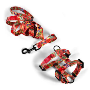 Zestaw Smycz miejska 2 m + Szelki Guard BERRIES CORAL