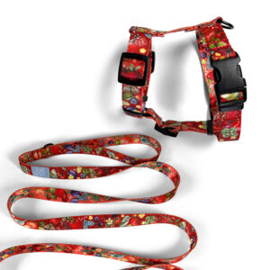 Alternative view of Zestaw Smycz miejska 2 m + Szelki Guard BERRIES RUBY