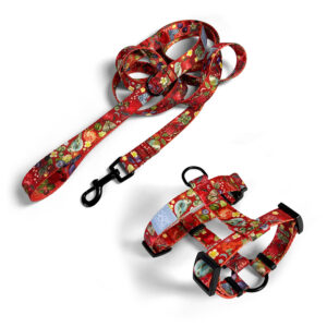 Zestaw Smycz miejska 2 m + Szelki Guard BERRIES RUBY