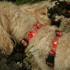Zestaw Smycz miejska 2 m + Szelki Guard BERRIES CORAL - obrazek 6