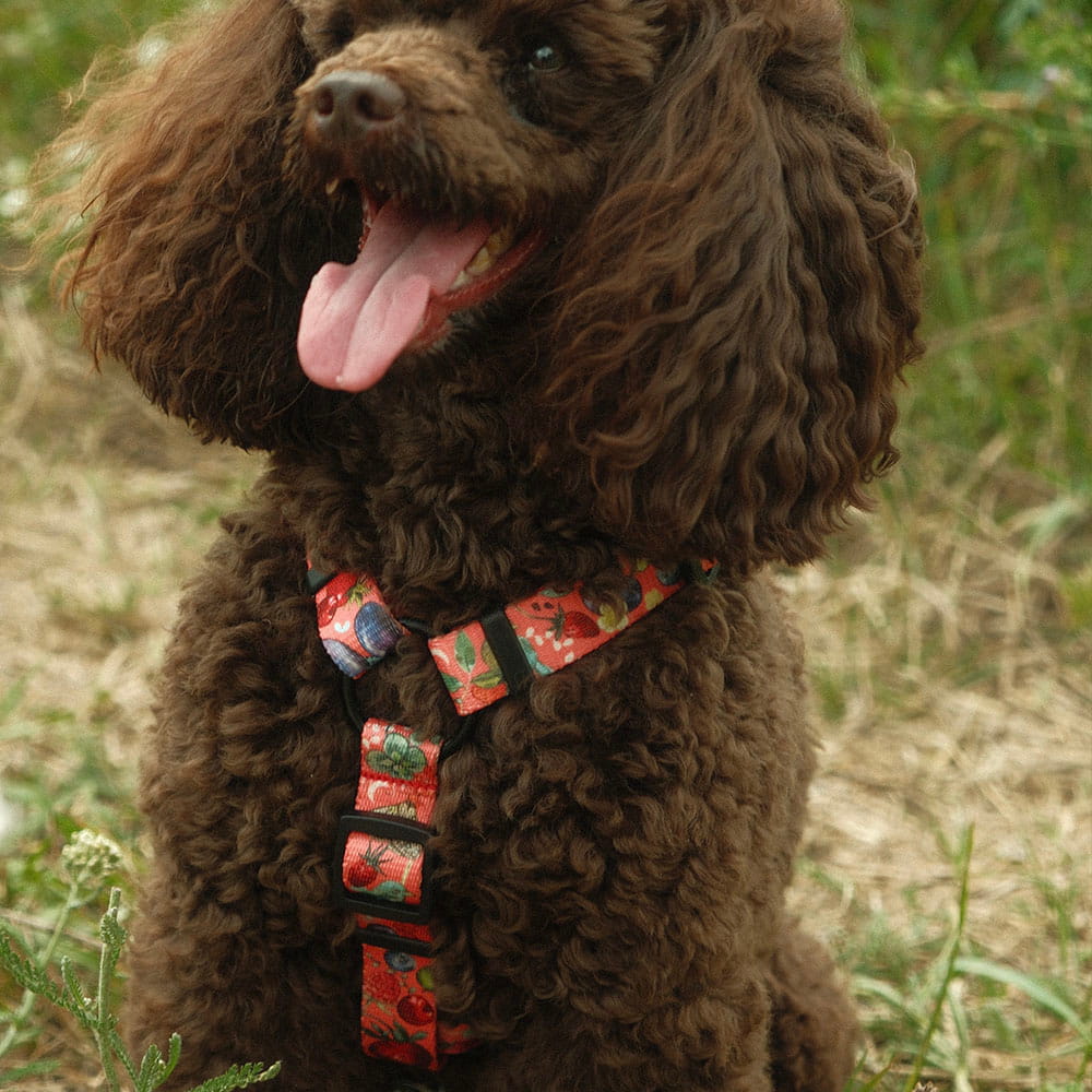 Bandana welurowa BERRIES - obrazek 4