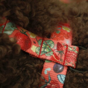 Szelki Guard BERRIES CORAL - obrazek 8