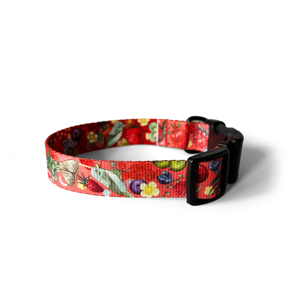 Obroża z klamrą BERRIES CORAL - obrazek 3