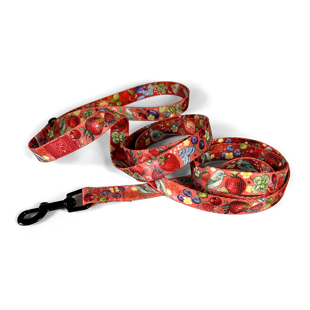 Smycz miejska BERRIES CORAL - obrazek 3