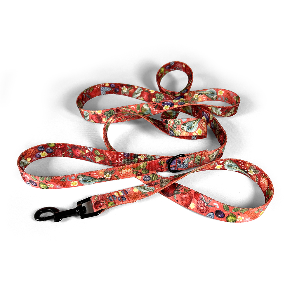 Smycz miejska BERRIES CORAL - obrazek 2